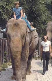 Sandry in the Knies children's zoo Rapperswil with elephant keeper Georges Frei